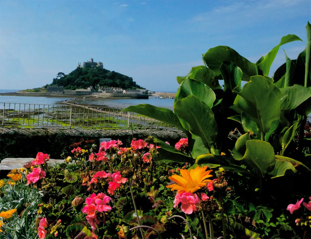 Sub-tropical planting in the Higher Faugan gardens with St Michael's Mount across Mount's Bay